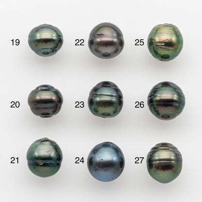 10-11mm Tahitian Pearl, Loose Undrilled with High Luster and for Jewelry Making, SKU # 2747TH