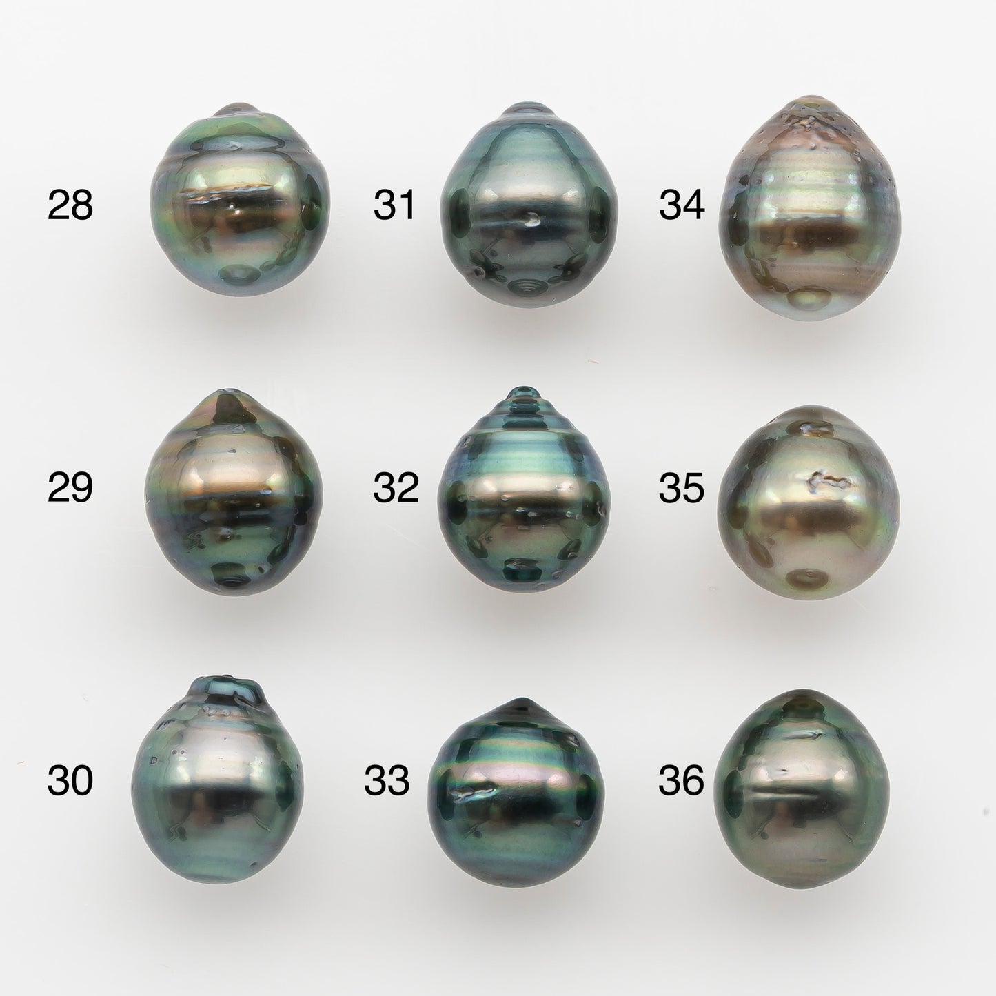 10-11mm Tahitian Pearl, Loose Undrilled with High Luster and for Jewelry Making, SKU # 2747TH