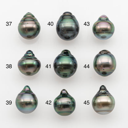 10-11mm Tahitian Pearl, Loose Undrilled with High Luster and for Jewelry Making, SKU # 2747TH