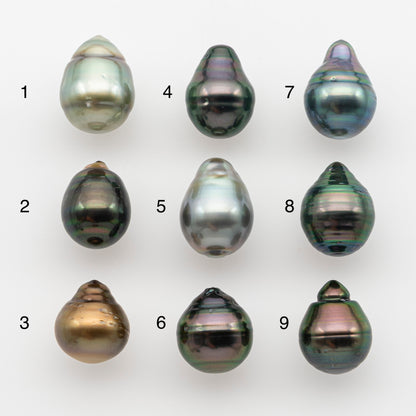 10-11mm Tahitian Pearl, Loose Undrilled with High Luster and for Jewelry Making, SKU # 2748TH