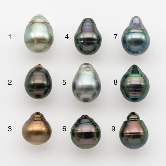 10-11mm Tahitian Pearl, Loose Undrilled with High Luster and for Jewelry Making, SKU # 2748TH