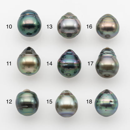 10-11mm Tahitian Pearl, Loose Undrilled with High Luster and for Jewelry Making, SKU # 2748TH