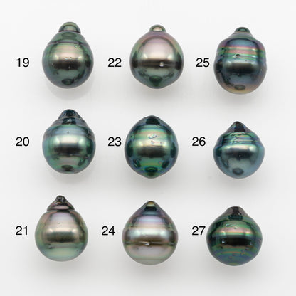 10-11mm Tahitian Pearl, Loose Undrilled with High Luster and for Jewelry Making, SKU # 2748TH