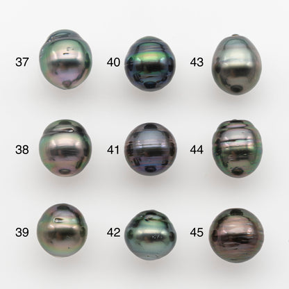 10-11mm Tahitian Pearl, Loose Undrilled with High Luster and for Jewelry Making, SKU # 2748TH