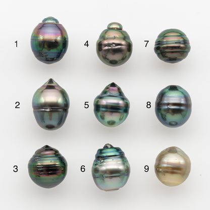 10-11mm Tahitian Pearl, Loose Undrilled with High Luster and for Jewelry Making, SKU # 2749TH
