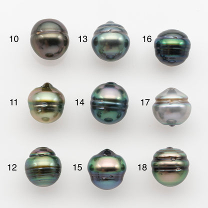 10-11mm Tahitian Pearl, Loose Undrilled with High Luster and for Jewelry Making, SKU # 2749TH