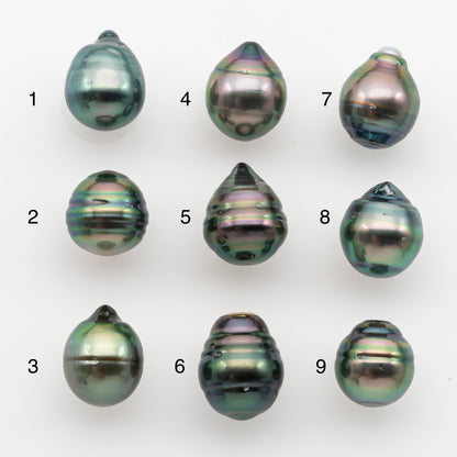 10-11mm Tahitian Pearl, Loose Undrilled with High Luster and for Jewelry Making, SKU # 2750TH