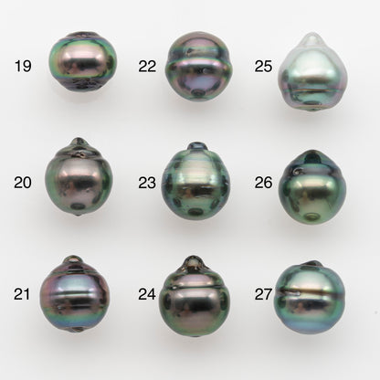 10-11mm Tahitian Pearl, Loose Undrilled with High Luster and for Jewelry Making, SKU # 2750TH
