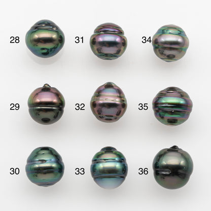 10-11mm Tahitian Pearl, Loose Undrilled with High Luster and for Jewelry Making, SKU # 2750TH