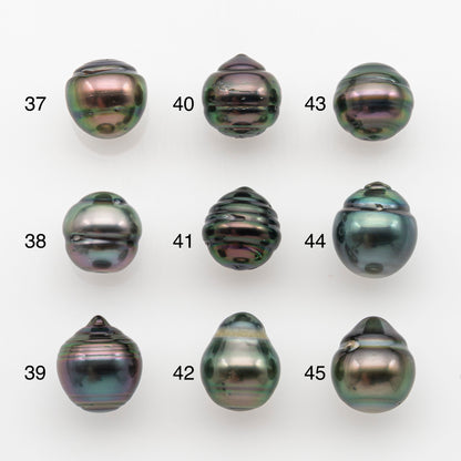 10-11mm Tahitian Pearl, Loose Undrilled with High Luster and for Jewelry Making, SKU # 2750TH