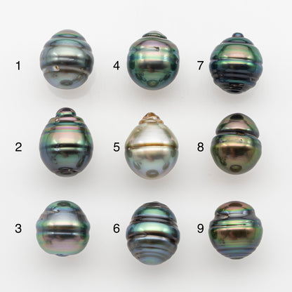 10-11mm Tahitian Pearl, Loose Undrilled with High Luster and for Jewelry Making, SKU # 2752TH