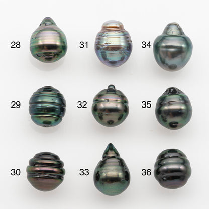 10-11mm Tahitian Pearl, Loose Undrilled with High Luster and for Jewelry Making, SKU # 2752TH