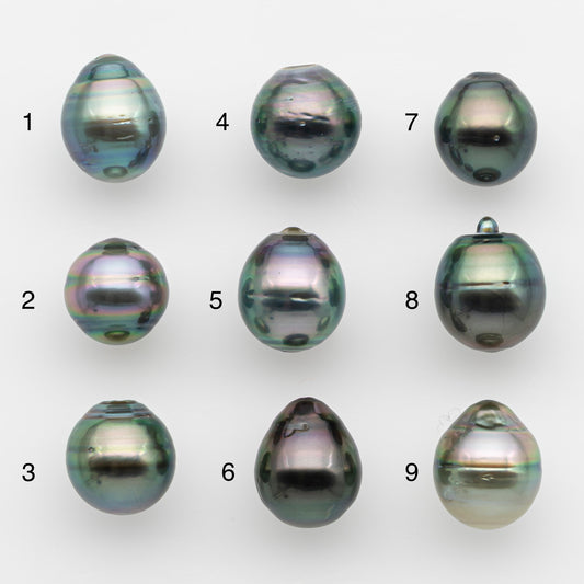 11-12mm Tahitian Pearl, Loose Undrilled with High Luster and for Jewelry Making, SKU # 2757TH