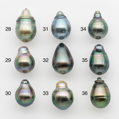 11-12mm Tahitian Pearl, Loose Undrilled with High Luster and for Jewelry Making, SKU # 2757TH