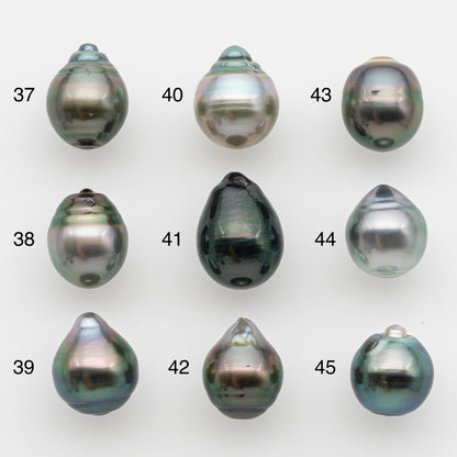 11-12mm Tahitian Pearl, Loose Undrilled with High Luster and for Jewelry Making, SKU # 2757TH