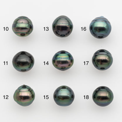 11-12mm Tahitian Pearl, Loose Undrilled with High Luster and for Jewelry Making, SKU # 2758TH