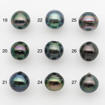 11-12mm Tahitian Pearl, Loose Undrilled with High Luster and for Jewelry Making, SKU # 2758TH