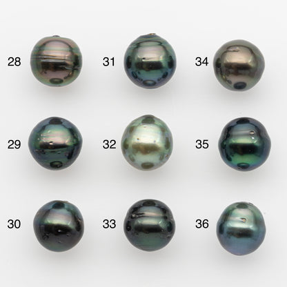 11-12mm Tahitian Pearl, Loose Undrilled with High Luster and for Jewelry Making, SKU # 2758TH
