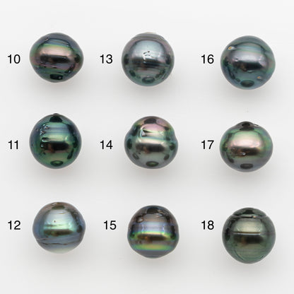 11-12mm Tahitian Pearl, Loose Undrilled with High Luster and for Jewelry Making, SKU # 2759TH