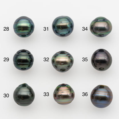 11-12mm Tahitian Pearl, Loose Undrilled with High Luster and for Jewelry Making, SKU # 2759TH