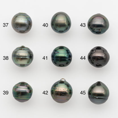 11-12mm Tahitian Pearl, Loose Undrilled with High Luster and for Jewelry Making, SKU # 2759TH