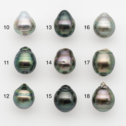 11-12mm Tahitian Pearl, Loose Undrilled with High Luster and for Jewelry Making, SKU # 2760TH