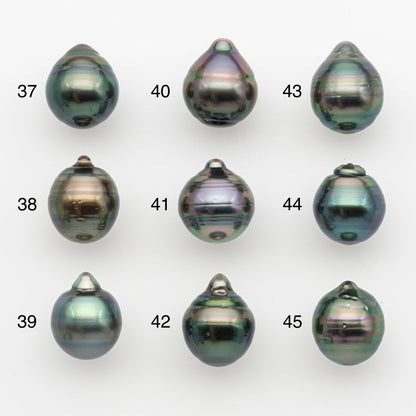 11-12mm Tahitian Pearl, Loose Undrilled with High Luster and for Jewelry Making, SKU # 2760TH