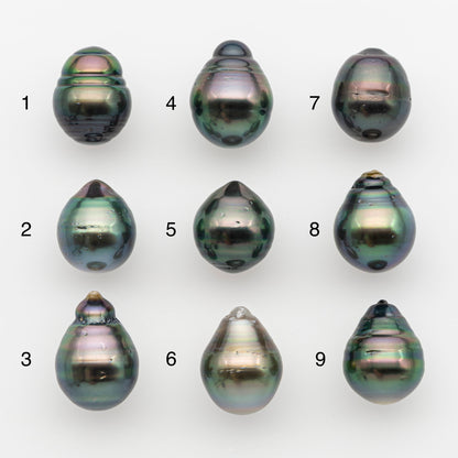 11-12mm Tahitian Pearl, Loose Undrilled with High Luster and for Jewelry Making, SKU # 2761TH