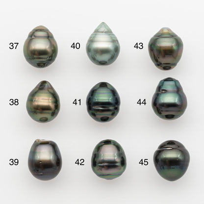 11-12mm Tahitian Pearl, Loose Undrilled with High Luster and for Jewelry Making, SKU # 2761TH