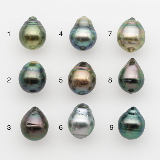 11-12mm Tahitian Pearl, Loose Undrilled with High Luster and for Jewelry Making, SKU # 2762TH