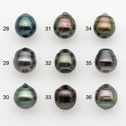 11-12mm Tahitian Pearl, Loose Undrilled with High Luster and for Jewelry Making, SKU # 2762TH
