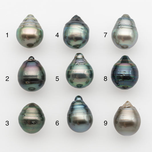 11-12mm Tahitian Pearl, Loose Undrilled with High Luster and for Jewelry Making, SKU # 2763TH