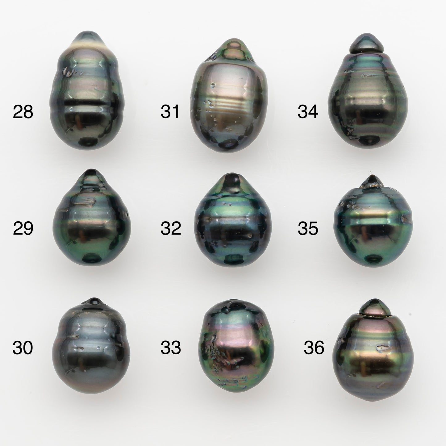 11-12mm Tahitian Pearl, Loose Undrilled with High Luster and for Jewelry Making, SKU # 2764TH