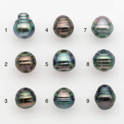 11-12mm Tahitian Pearl, Loose Undrilled with High Luster and for Jewelry Making, SKU # 2765TH