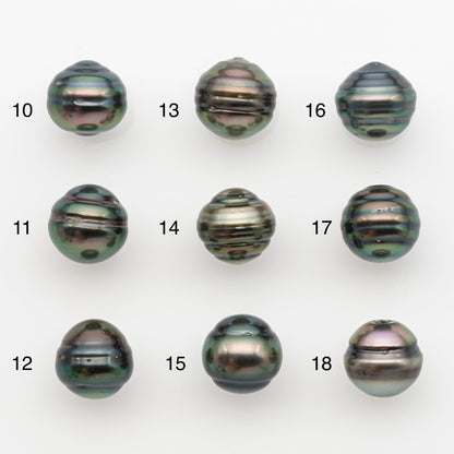 11-12mm Tahitian Pearl, Loose Undrilled with High Luster and for Jewelry Making, SKU # 2765TH