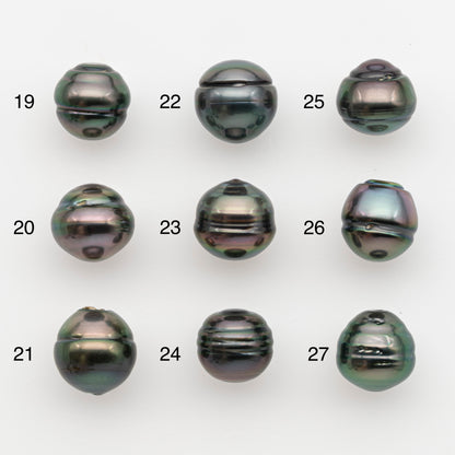 11-12mm Tahitian Pearl, Loose Undrilled with High Luster and for Jewelry Making, SKU # 2765TH