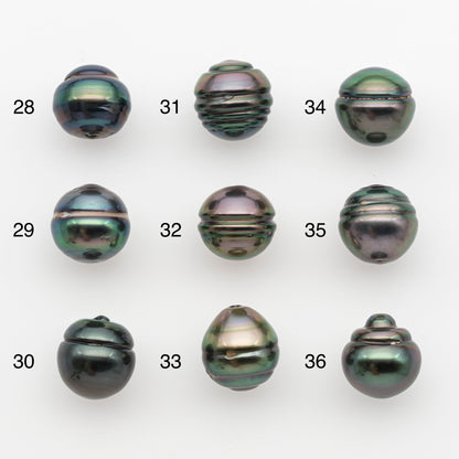 11-12mm Tahitian Pearl, Loose Undrilled with High Luster and for Jewelry Making, SKU # 2765TH