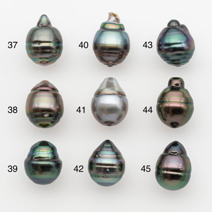 11-12mm Tahitian Pearl, Loose Undrilled with High Luster and for Jewelry Making, SKU # 2765TH