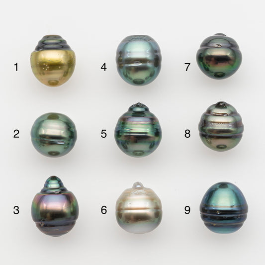11-12mm Tahitian Pearl, Loose Undrilled with High Luster and for Jewelry Making, SKU # 2766TH