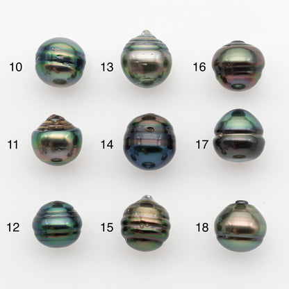 11-12mm Tahitian Pearl, Loose Undrilled with High Luster and for Jewelry Making, SKU # 2766TH