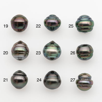 11-12mm Tahitian Pearl, Loose Undrilled with High Luster and for Jewelry Making, SKU # 2766TH
