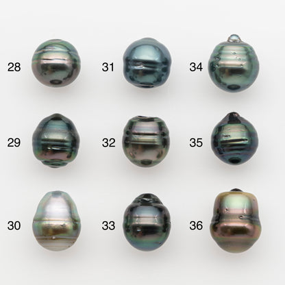 11-12mm Tahitian Pearl, Loose Undrilled with High Luster and for Jewelry Making, SKU # 2766TH