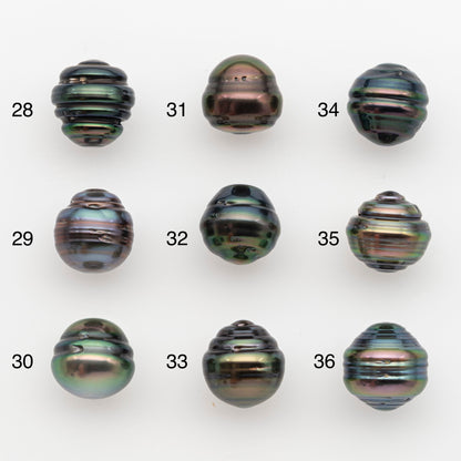 11-12mm Tahitian Pearl, Loose Undrilled with High Luster and for Jewelry Making, SKU # 2767TH
