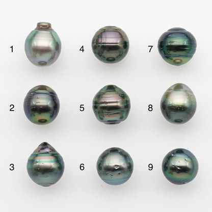 11-12mm Tahitian Pearl, Loose Undrilled with High Luster and for Jewelry Making, SKU # 2768TH