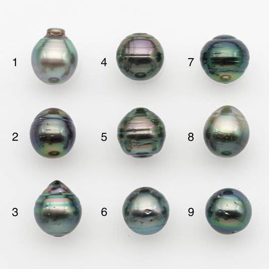 11-12mm Tahitian Pearl, Loose Undrilled with High Luster and for Jewelry Making, SKU # 2768TH