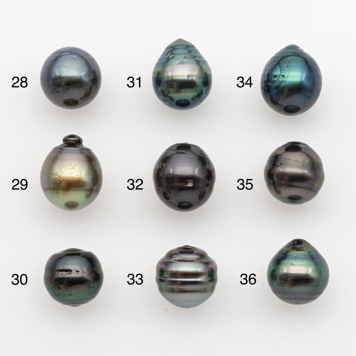 11-12mm Tahitian Pearl, Loose Undrilled with High Luster and for Jewelry Making, SKU # 2768TH