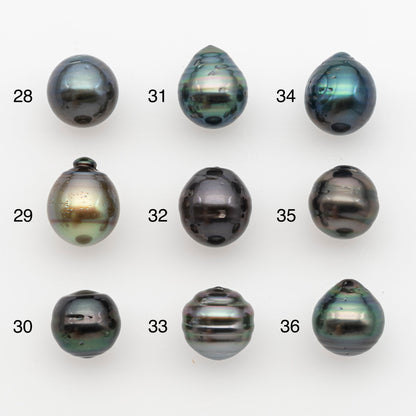 11-12mm Tahitian Pearl, Loose Undrilled with High Luster and for Jewelry Making, SKU # 2768TH