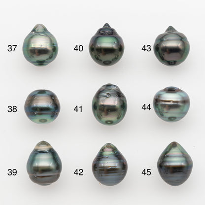 11-12mm Tahitian Pearl, Loose Undrilled with High Luster and for Jewelry Making, SKU # 2768TH