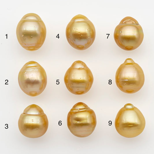 12-13mm South Sea Pearl in Natural Gold Color, Loose Drop Shape, Undrilled for Jewelry Making, SKU # 2770GS
