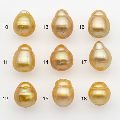 12-13mm South Sea Pearl in Natural Gold Color, Loose Drop Shape, Undrilled for Jewelry Making, SKU # 2770GS